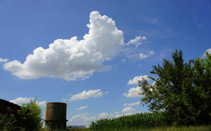 Cammino di S.Antonio, tratto Ferrara Bologna