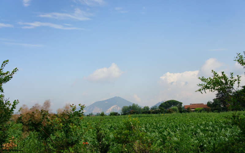 Cammino di S.Antonio, tappa Padova-Monselice-Rovigo