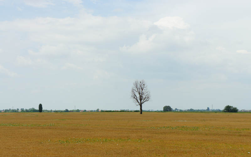 Cammino di S.Antonio, tappa Padova-Monselice-Rovigo