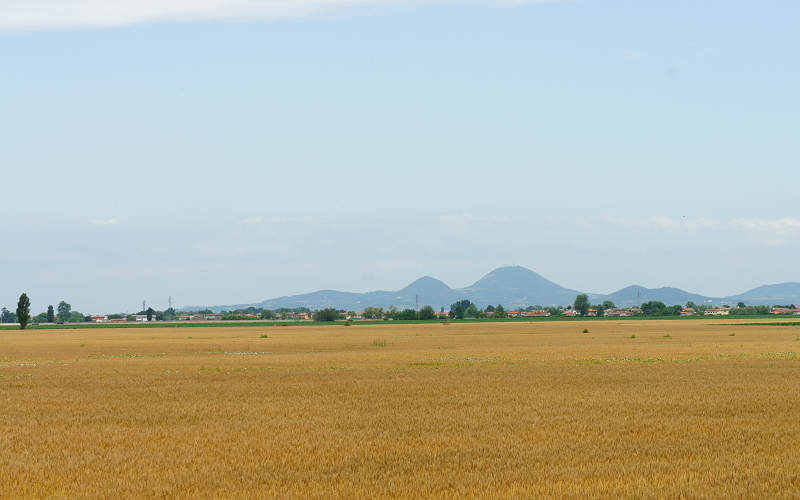 Cammino di S.Antonio, tappa Padova-Monselice-Rovigo