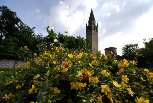 Abbazia della Vangadizza a Badia Polesine