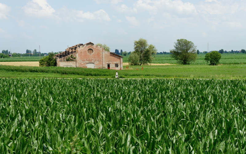 Cammino di S.Antonio, tappa Rovigo, Bosaro, Ferrara