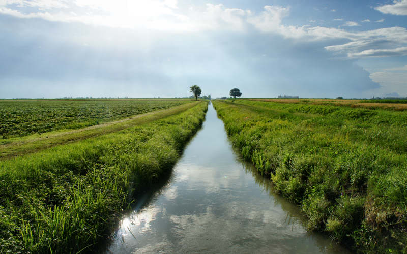 Cammino di S.Antonio, tappa Rovigo, Bosaro, Ferrara