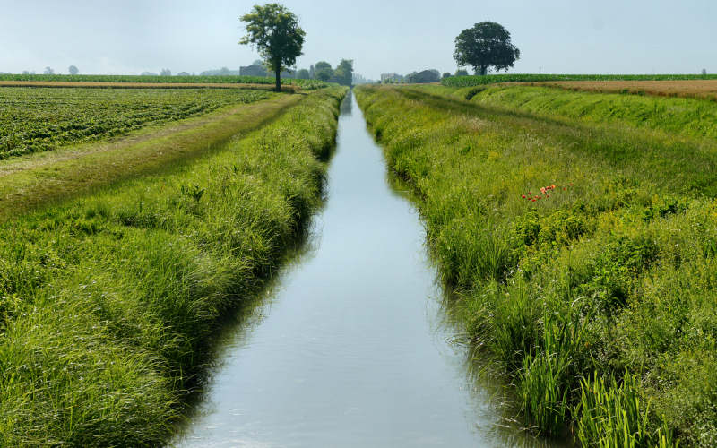 Cammino di S.Antonio, tappa Rovigo, Bosaro, Ferrara