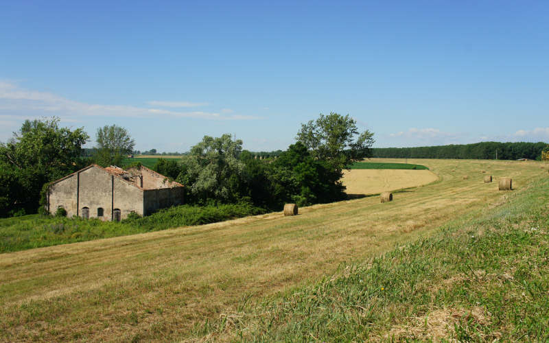 Cammino di S.Antonio, tappa Rovigo, Bosaro, Ferrara