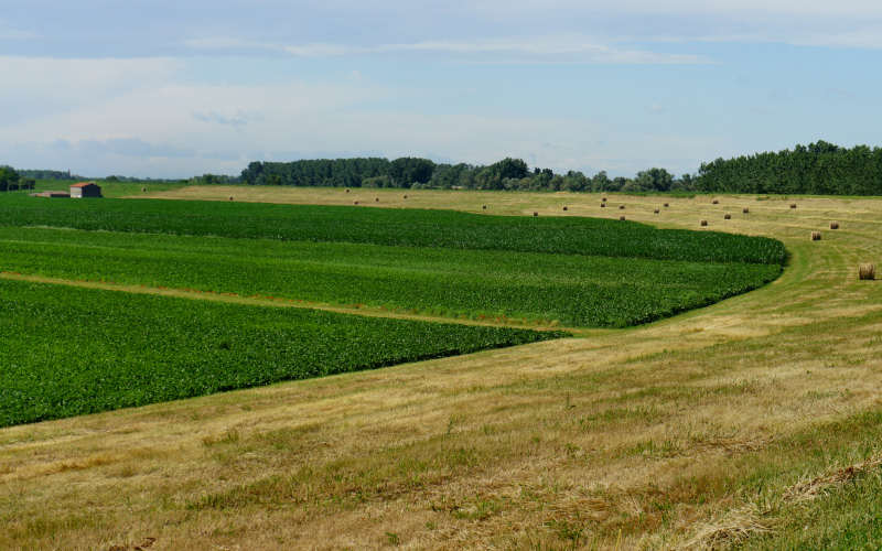 Cammino di S.Antonio, tappa Rovigo, Bosaro, Ferrara