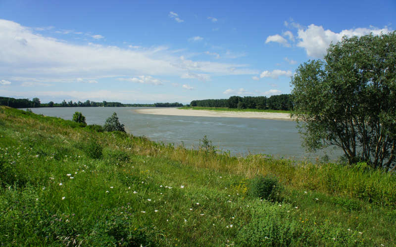 Cammino di S.Antonio, tappa Rovigo, Bosaro, Ferrara