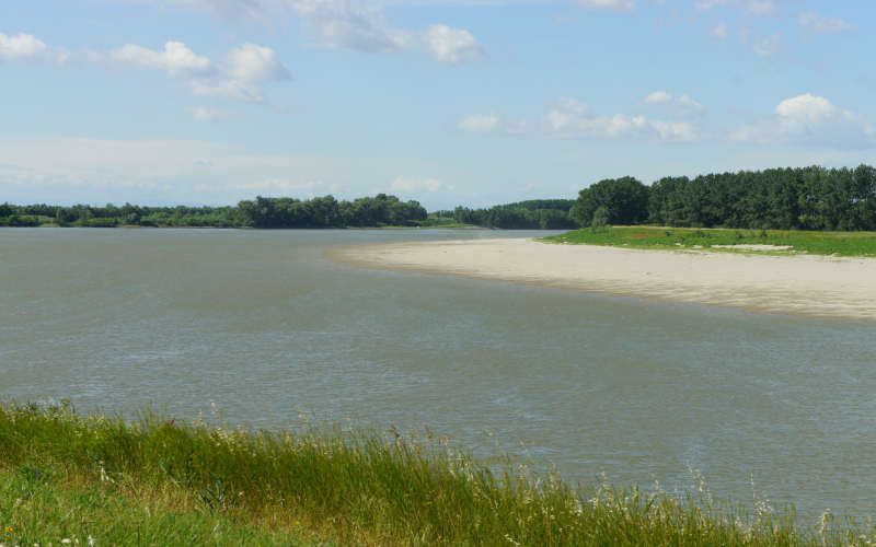 Cammino di S.Antonio, tappa Rovigo, Bosaro, Ferrara