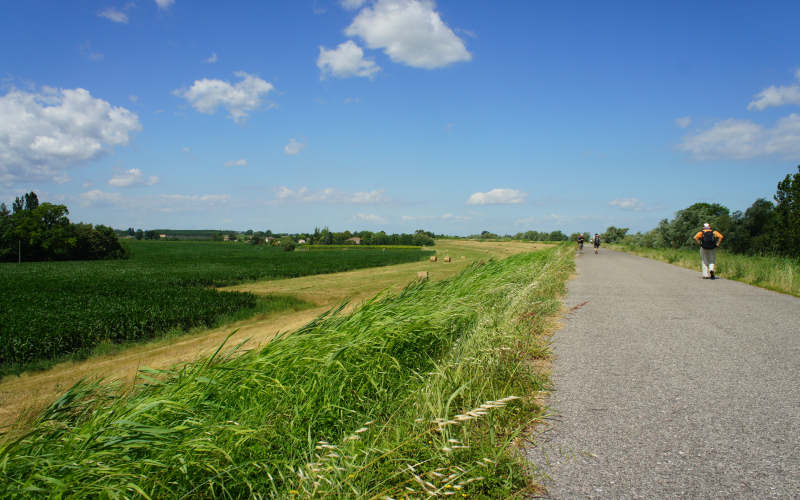 Cammino di S.Antonio, tappa Rovigo, Bosaro, Ferrara