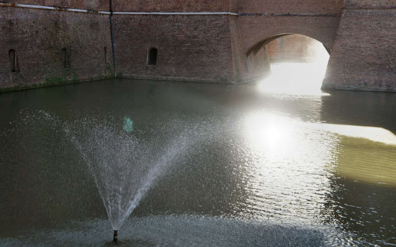 Cammino di S.Antonio, tappa Rovigo, Bosaro, Ferrara