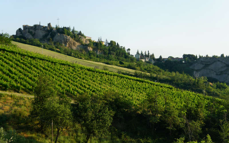 Tossignano Brisighella Dovadola, Cammino di Sant'Antonio