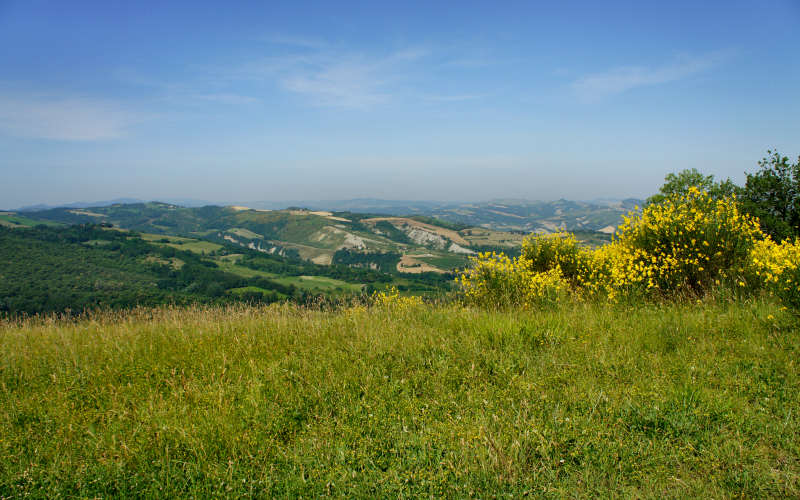 Tossignano Brisighella Dovadola, Cammino di Sant'Antonio