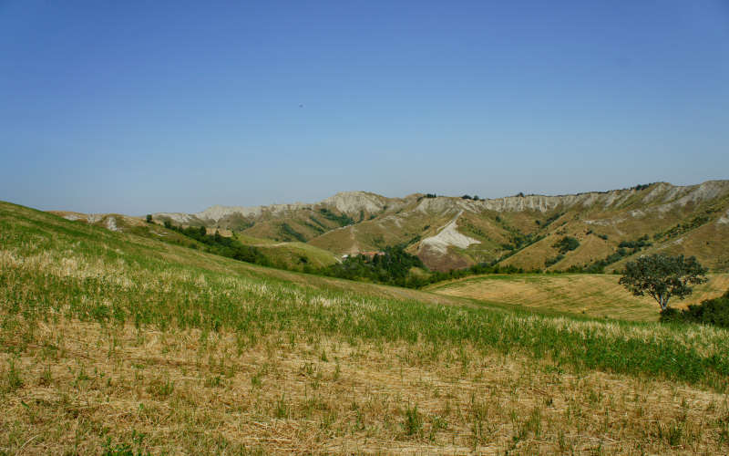 Tossignano Brisighella Dovadola, Cammino di Sant'Antonio