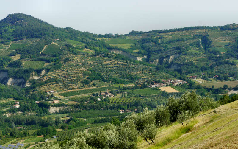 Tossignano Brisighella Dovadola, Cammino di Sant'Antonio