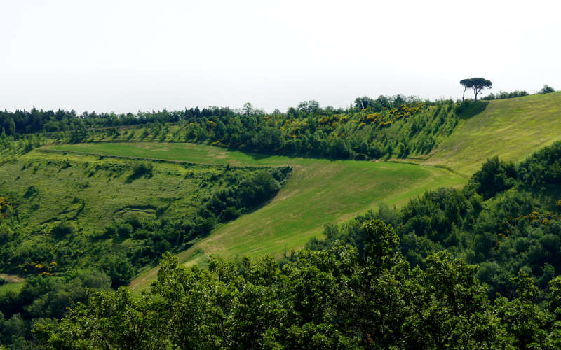 Tossignano Brisighella Dovadola, Cammino di Sant'Antonio