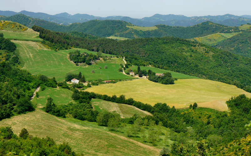 Tossignano Brisighella Dovadola, Cammino di Sant'Antonio