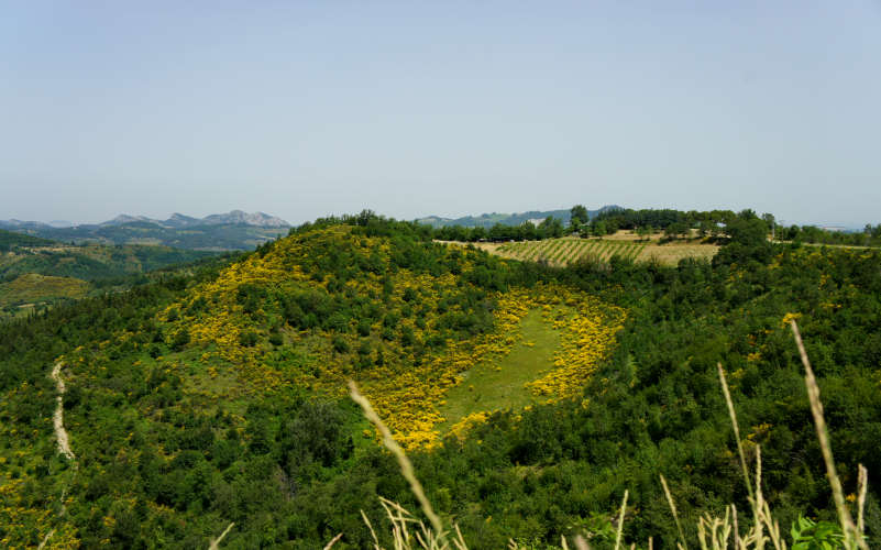 Tossignano Brisighella Dovadola, Cammino di Sant'Antonio