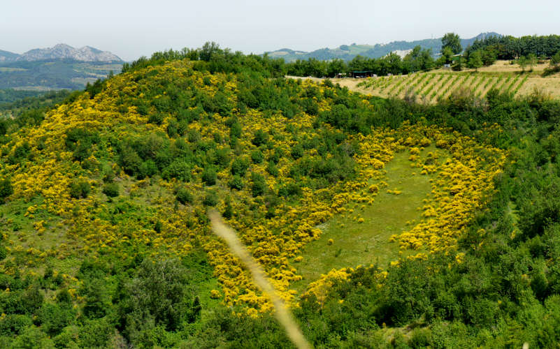 Tossignano Brisighella Dovadola, Cammino di Sant'Antonio