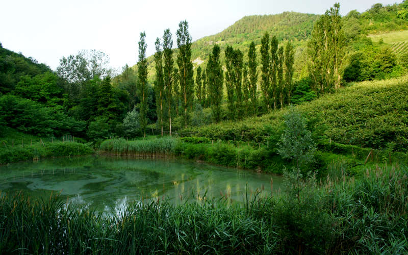 Tossignano Brisighella Dovadola, Cammino di Sant'Antonio