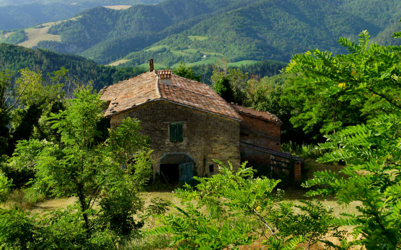 Tossignano Brisighella Dovadola, Cammino di Sant'Antonio