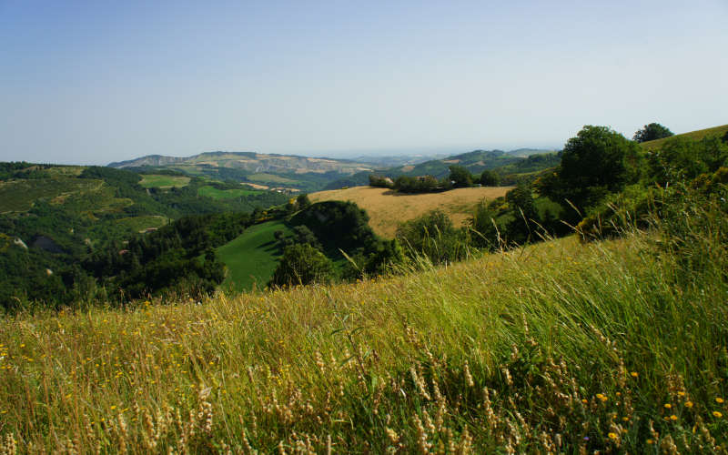 Tossignano Brisighella Dovadola, Cammino di Sant'Antonio