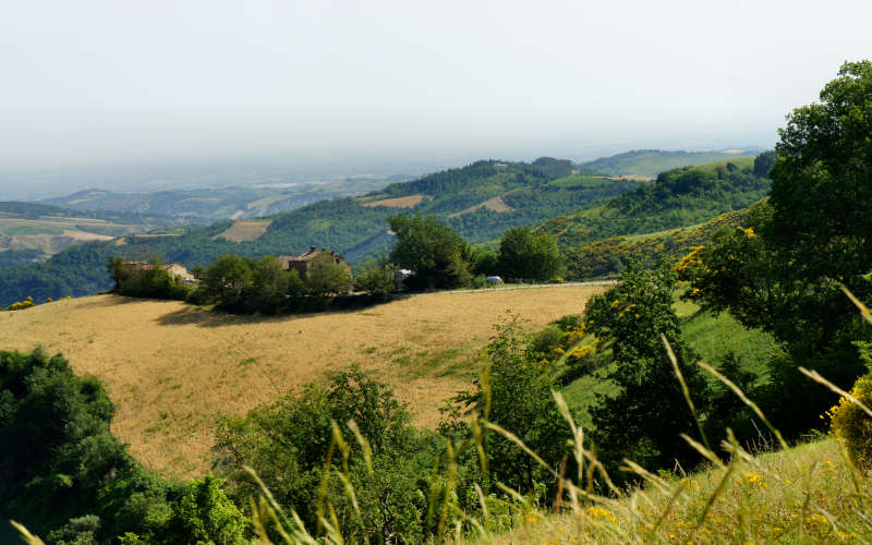 Tossignano Brisighella Dovadola, Cammino di Sant'Antonio