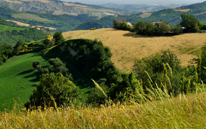 Tossignano Brisighella Dovadola, Cammino di Sant'Antonio