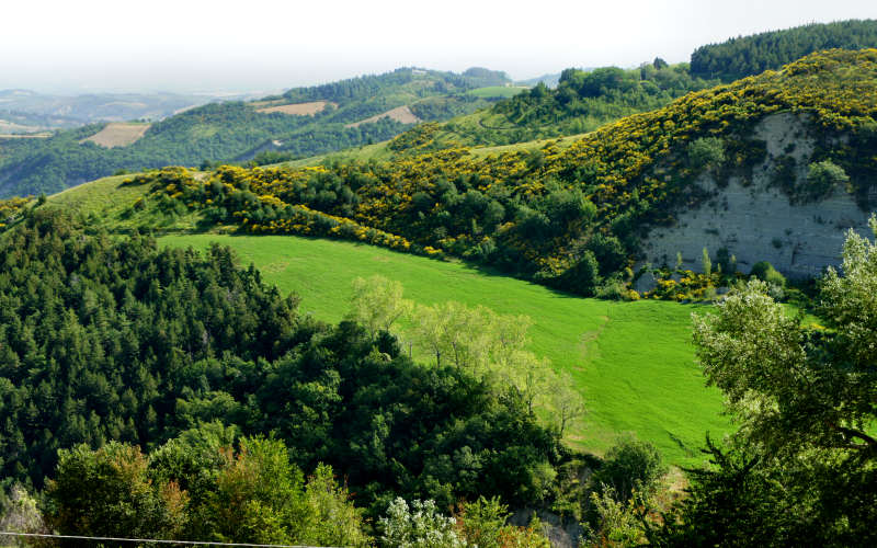 Tossignano Brisighella Dovadola, Cammino di Sant'Antonio