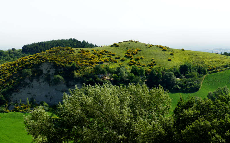 Tossignano Brisighella Dovadola, Cammino di Sant'Antonio