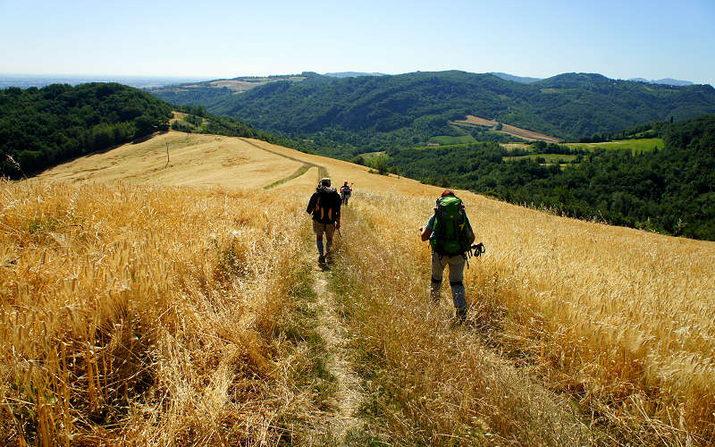 Cammino di SantAntonio