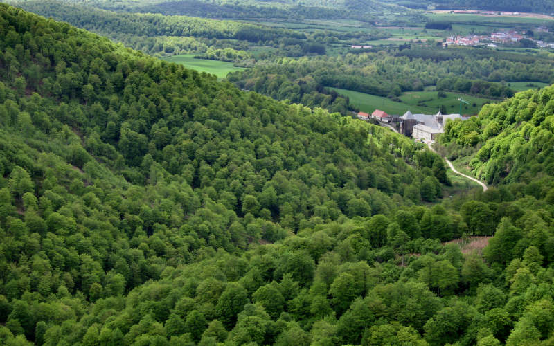 Pyrenees Roncesvalles