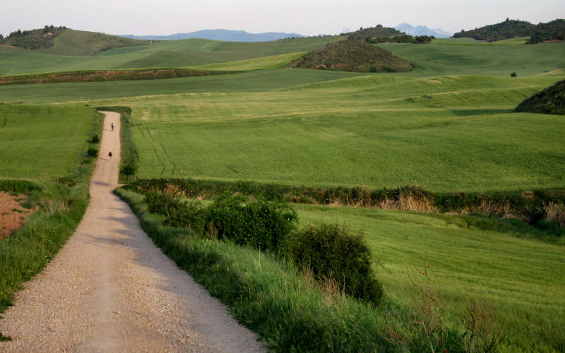 Los Arcos - Viana - Logrogno - Navarrete