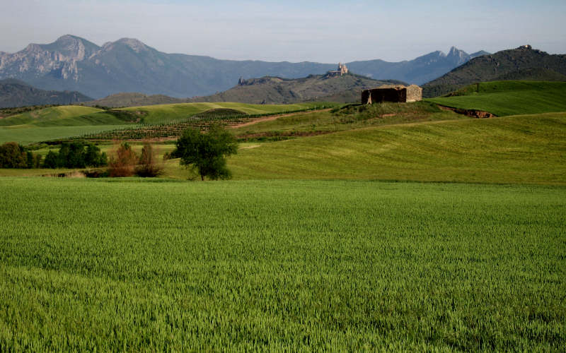 Los Arcos - Viana - Logrogno - Navarrete