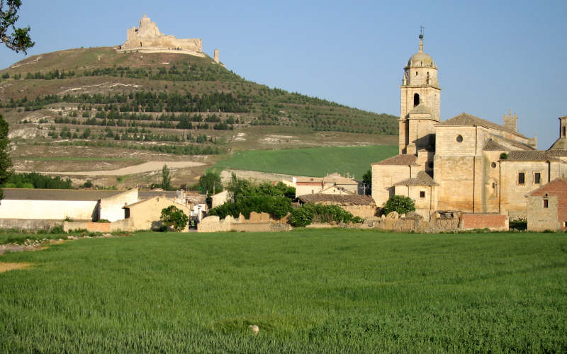 Meseta