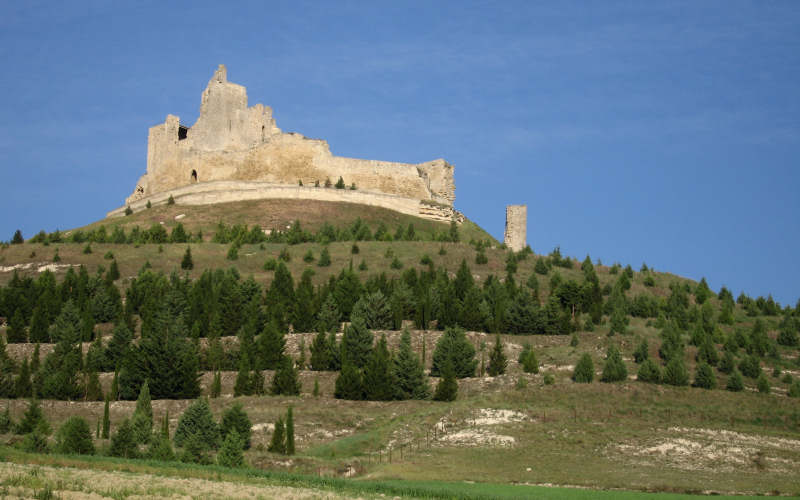 Meseta