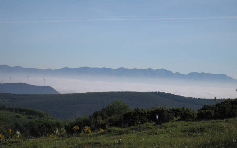 Bierzo