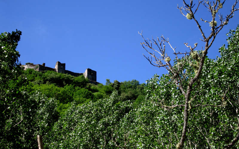 Bierzo - Cebreiro