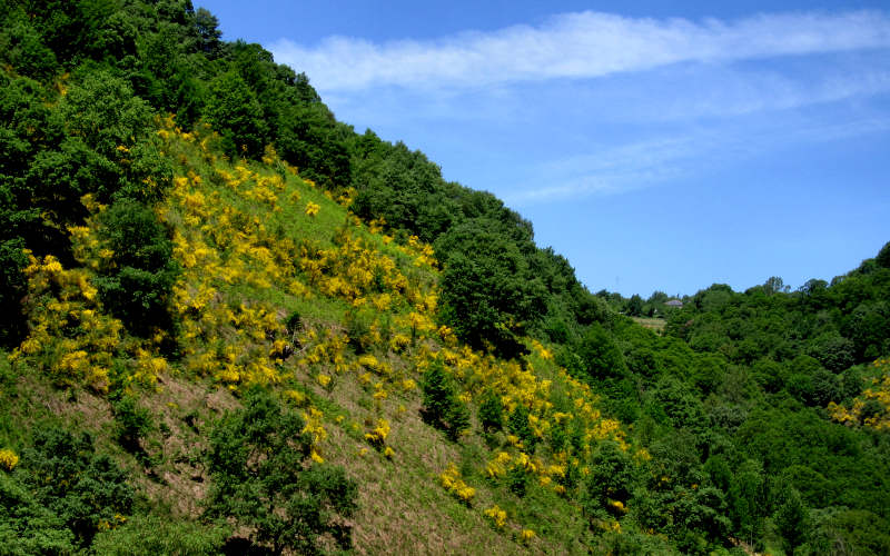 Bierzo - Cebreiro