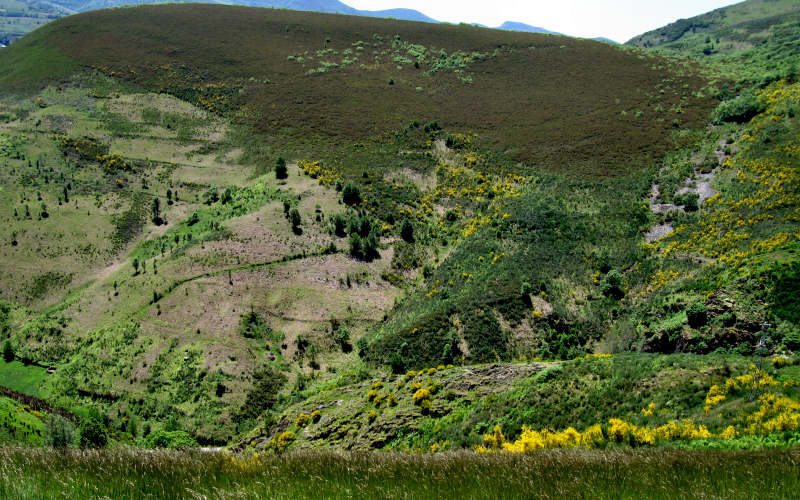 Bierzo - Cebreiro