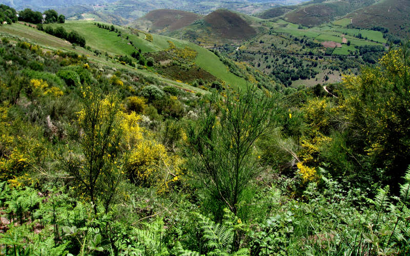 Bierzo - Cebreiro