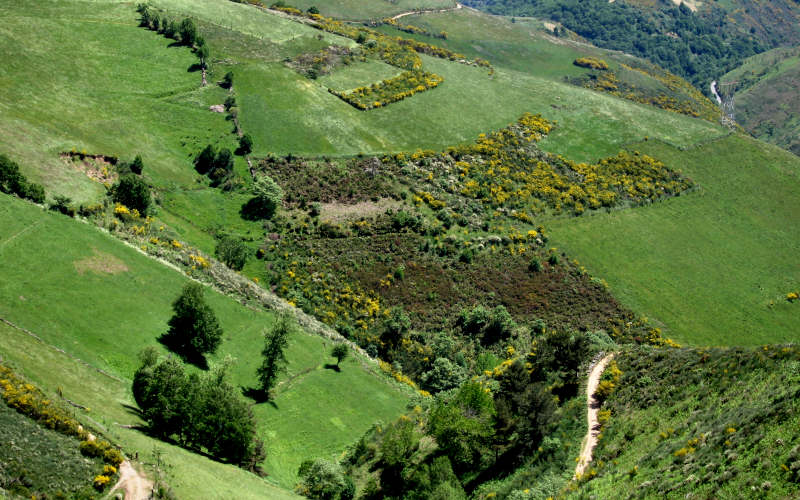 Bierzo - Cebreiro