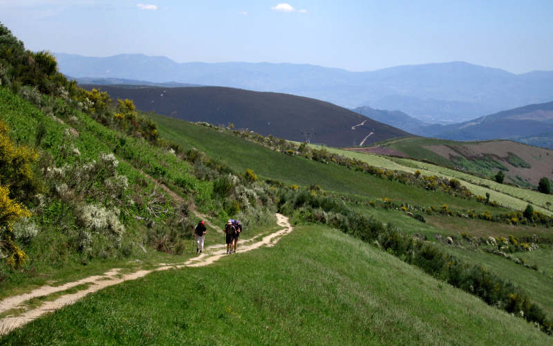 Bierzo - Cebreiro