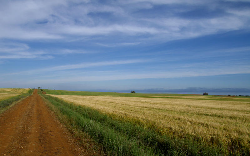 Cammino di Santiago Compostella