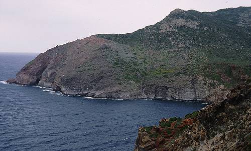 Isola di Capraia