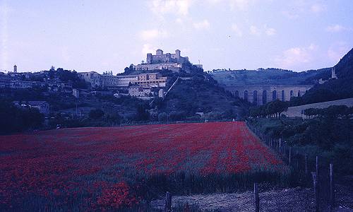 Italia '86