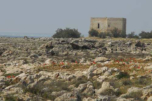 Porto Cesareo e costa di Nardò - Salento, Puglia