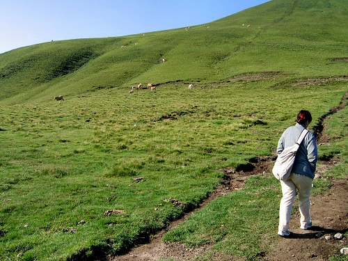 Auvergne / Massif Central