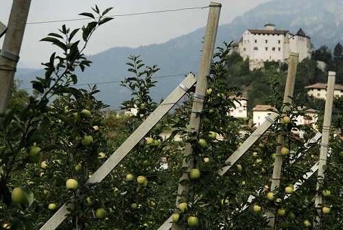 Castel Stenico,  Val Giudicarie