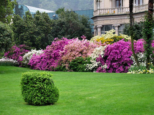 Lago Maggiore - Stresa