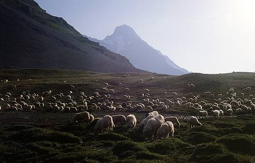 Vanoise